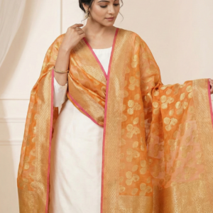 Orange and Gold Banarasi Silk/Organza Dupatta